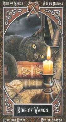 Tarot Familiars